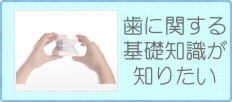 歯に関する基礎知識が知りたい方はこちら