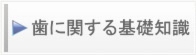 歯に関する基礎知識